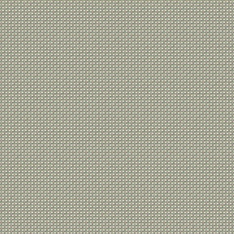 Avocado 7300-50867