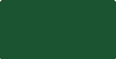 Forest Evergreen