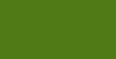 Sage Olive