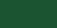 Forest Evergreen