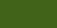 Moss Botanical