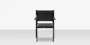 fusion_dining_arm_chair_back.webp
