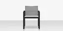 01_iconic_dining_arm_chair_front.webp