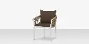 14_vines_dining_armchair_01_angle.webp