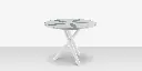 Organic Sand Dollar 42" Diameter Dining Table - Tex White Frame - White Duraboard Top - Basil Duraboard Petals